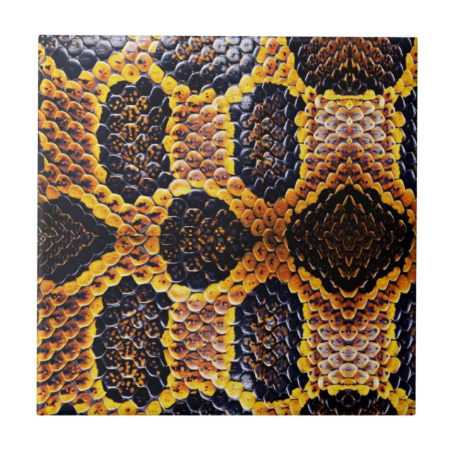 anaconda snake skin print ceramic tile (Front)