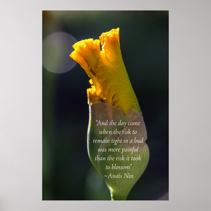 Anais Nin Quote Inspirational Poster | Zazzle.com