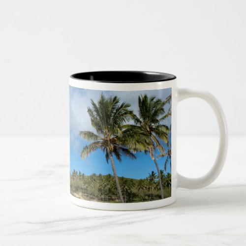 Anakena Rapa Nui Easter Island Chile Two_Tone Coffee Mug