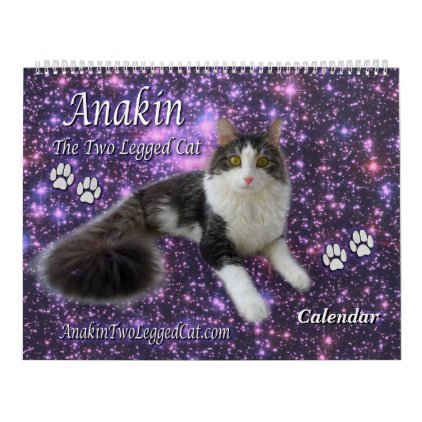 Anakin The Two Legged Cat Calendar Kitten