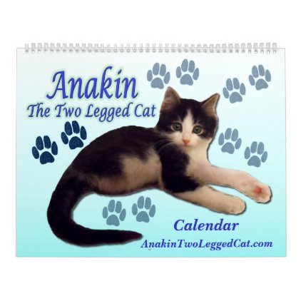 Anakin The Two Legged Kitten Cat Calendar