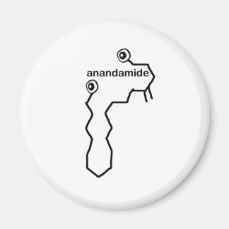 Anandamide Neurotransmitter Magnet