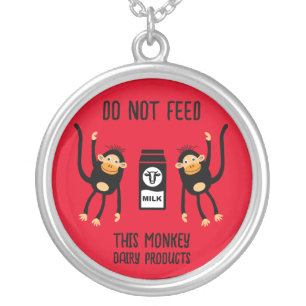 Anaphylaxis Kids Allergic Warnings Silver Plated Necklace