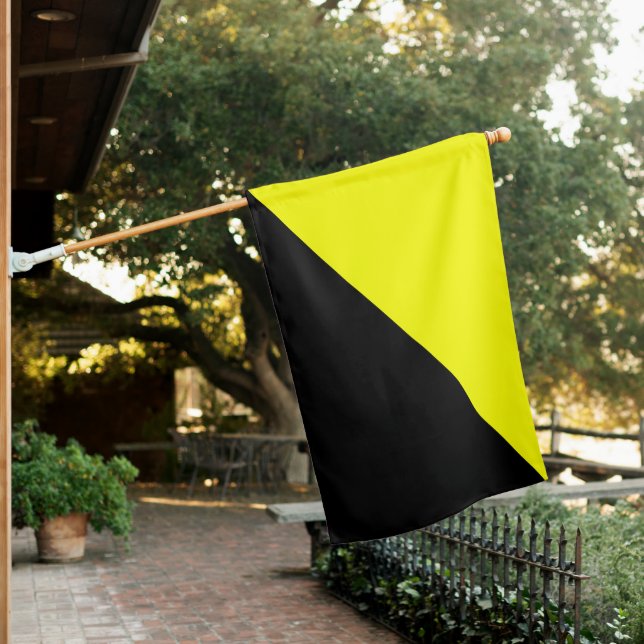Anarcho-Capitalist Flag (In SItu)