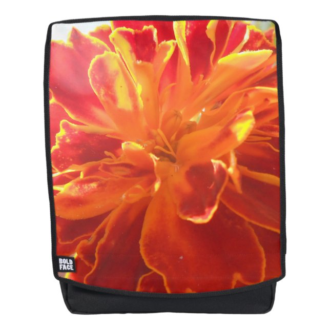 Anastaise Backpack (Front)