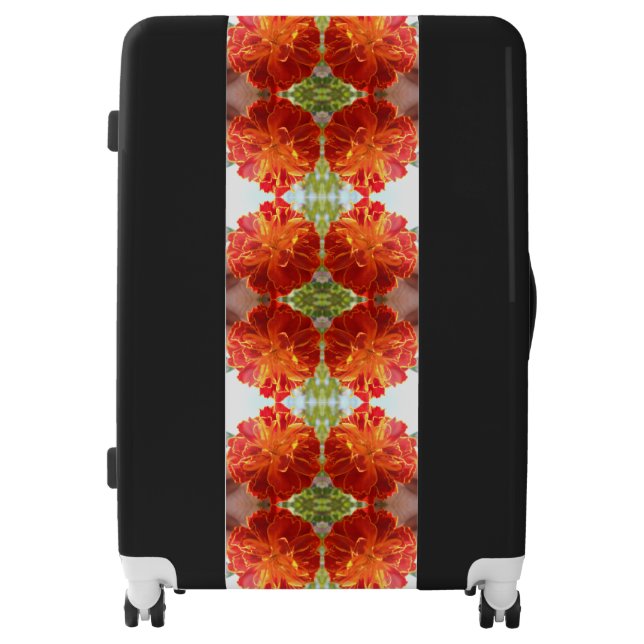 Anastaise Luggage (Front)