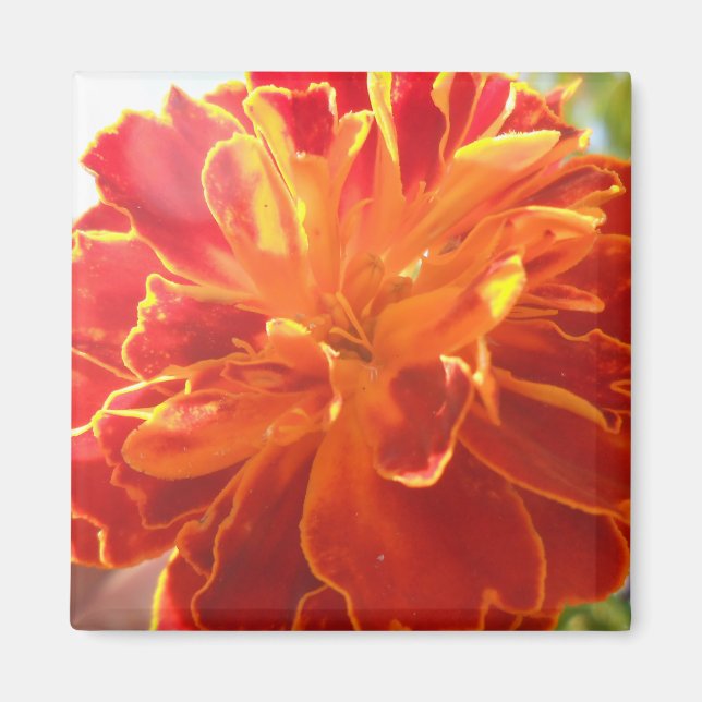 Anastaise Magnet (Front)