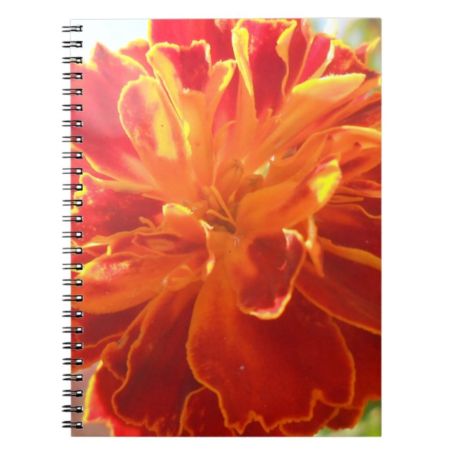 Anastaise Notebook (Front)
