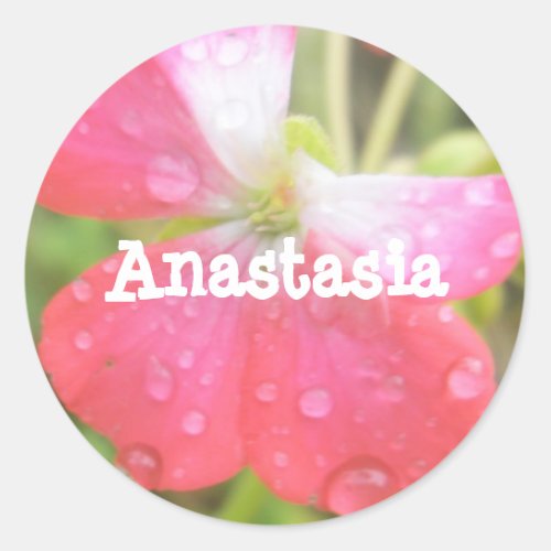 Anastasia girls name amaryllis stickers