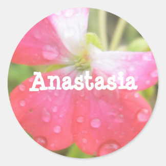 Anastasia girls name amaryllis stickers