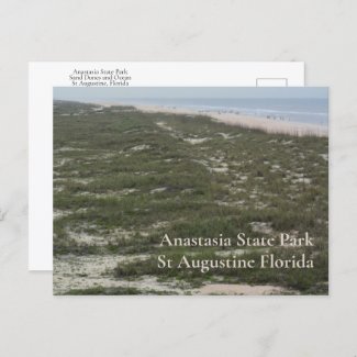 Anastasia State Park St Augustine FL Photographic