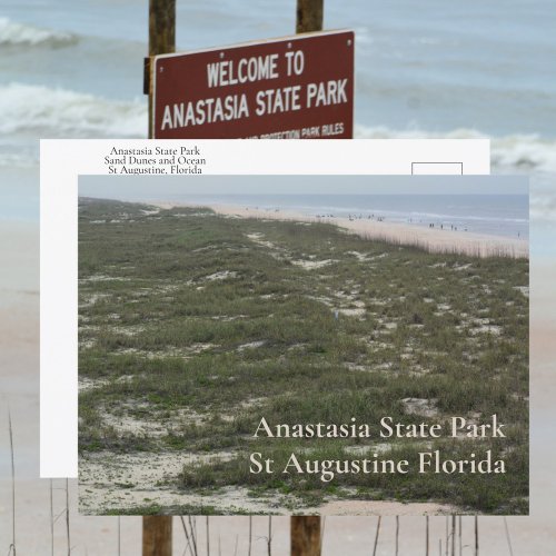Anastasia State Park St Augustine FL Photographic Postcard