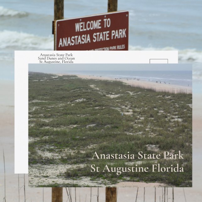 Anastasia State Park St Augustine FL Photographic Postcard (Creator Uploaded)