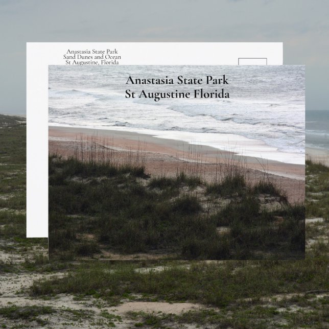 Anastasia State Park St Augustine Florida Travel Postcard (Creator Uploaded)