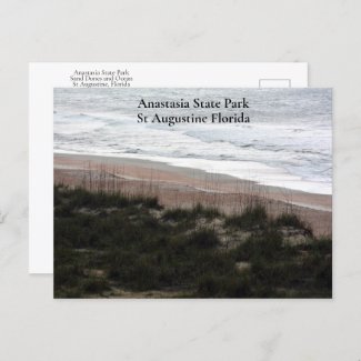 Anastasia State Park St Augustine Florida Travel