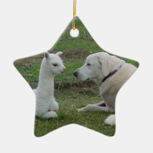 Anatolian Shepherd and Alpaca Cria Ceramic Ornament
