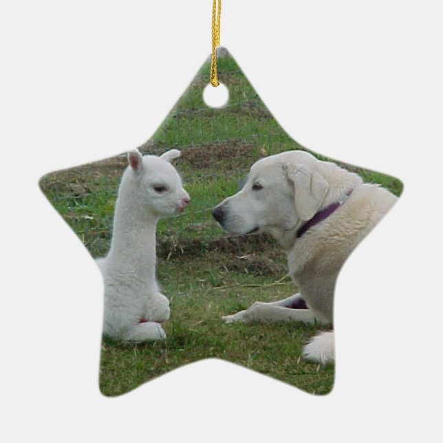 Anatolian Shepherd and Alpaca Cria Ceramic Ornament (Front)
