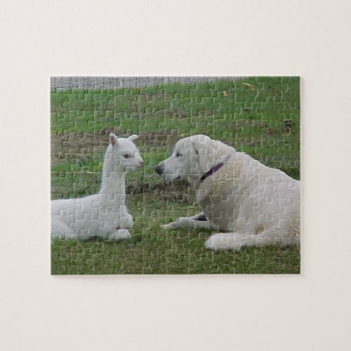 Anatolian Shepherd and Alpaca Cria Jigsaw Puzzle