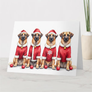 Anatolian Shepherd Christmas Dress Santa Hat Card