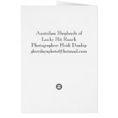 Anatolian Shepherd dog and pups Cards (Back)
