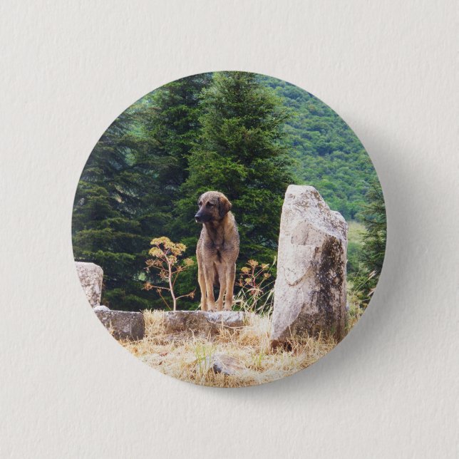 Anatolian Shepherd Dog -  Ephesus, Turkey Pinback Button (Front)