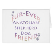 Anatolian Shepherd Dog Furever (Front Horizontal)