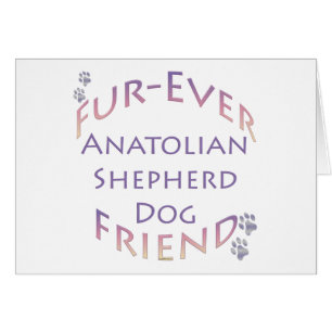 Anatolian Shepherd Dog Furever Cards