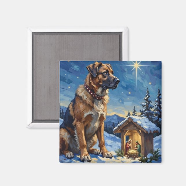 Anatolian Shepherd Dog Guarding Nativity Scene Magnet (Front/Back)