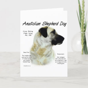 Anatolian Shepherd Dog History Holiday Card