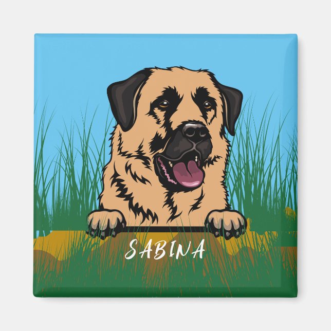 Anatolian Shepherd Dog in Nature  Magnet (Front)