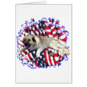 Anatolian Shepherd Dog Patriot (Front)