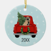 Anatolian Shepherd Dog red truck christmas