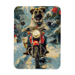 Anatolian Shepherd Dog Riding Motorcycle Christmas Magnet