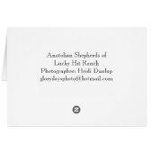Anatolian Shepherd dogs Cards (Back Horizontal)
