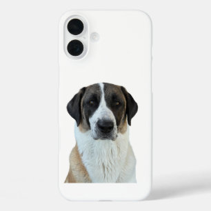 Anatolian Shepherd iPhone/iPad Case
