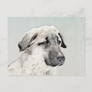Anatolian Shepherd Painting - Original Dog Art Postcard