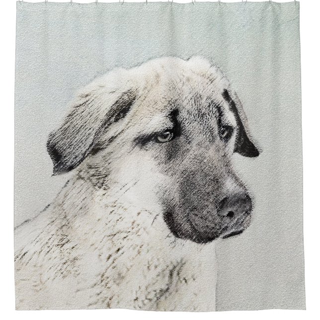 Anatolian Shepherd Painting - Original Dog Art Shower Curtain (Front)