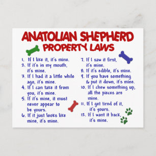 ANATOLIAN SHEPHERD Property Laws 2 Postcard