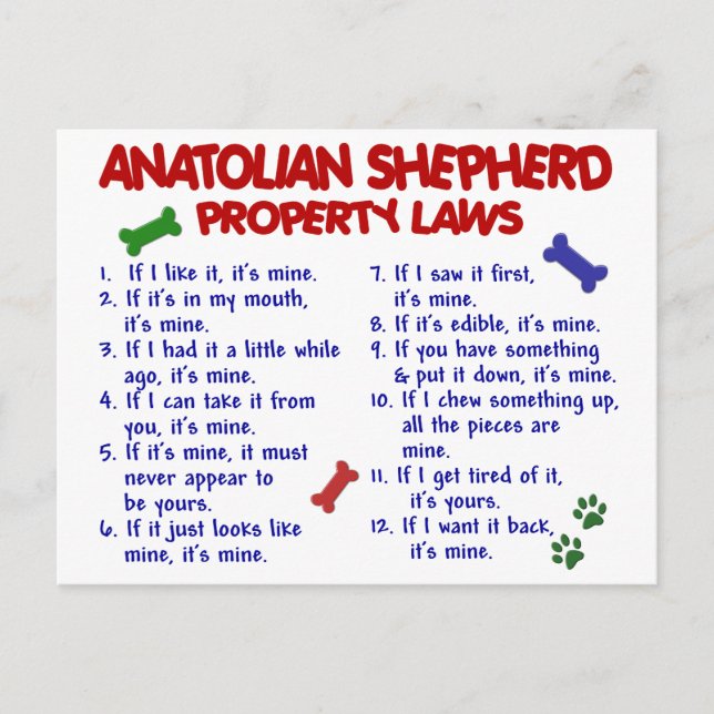 ANATOLIAN SHEPHERD Property Laws 2 Postcard (Front)