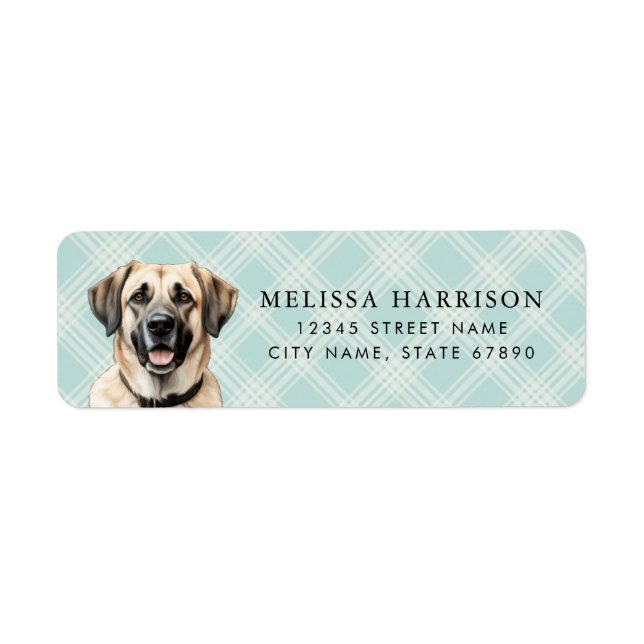 Anatolian Shepherd Return Address Labels (Front)