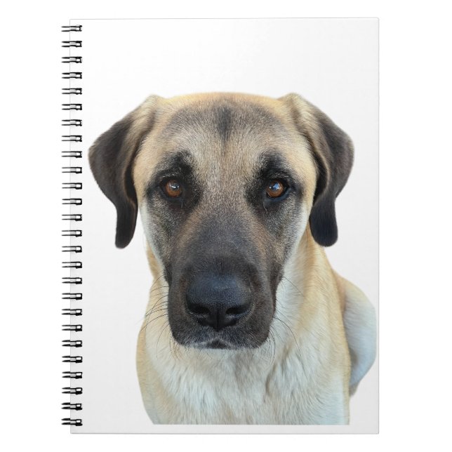 Anatolian Shepherd Spiral Notebook Planner (Front)