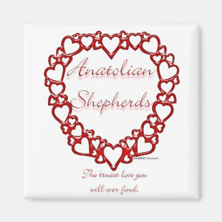 Anatolian Shepherd True Love Magnet