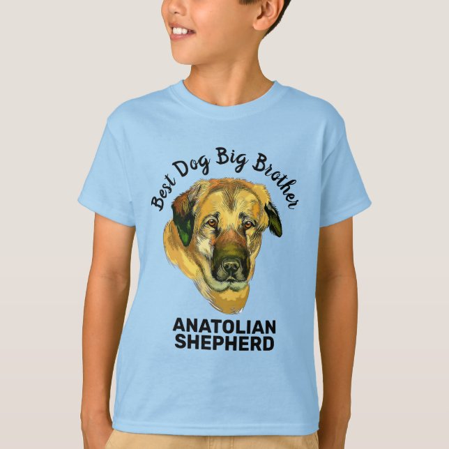 Anatolian Shepherd watercolor best big brother  T-Shirt (Front)