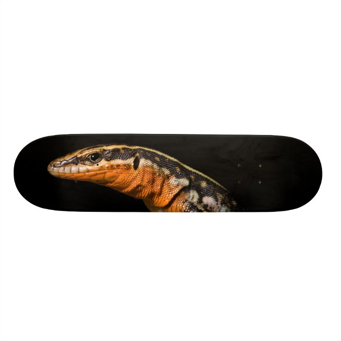 Anatololacerta Lacerta Oertzeni Rock Lizard Skate Boards