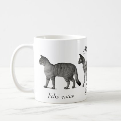 Anatomia of the Cat Coffee Mug