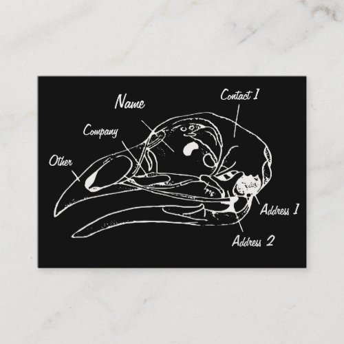 Anatomical Bird Skull Illustration Business Card