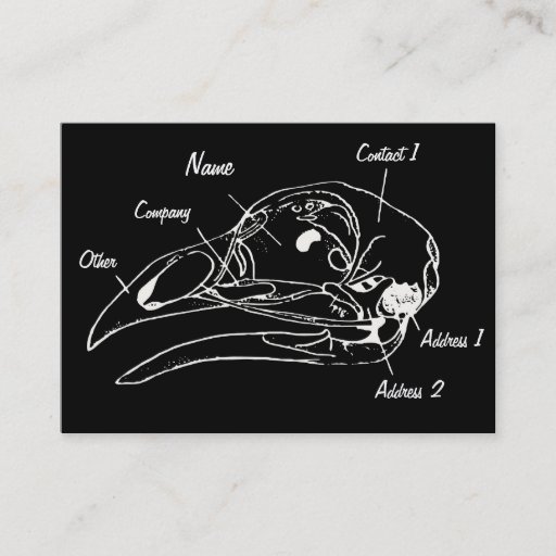 Customizable Anatomical Bird Skull Illustration Business Card
