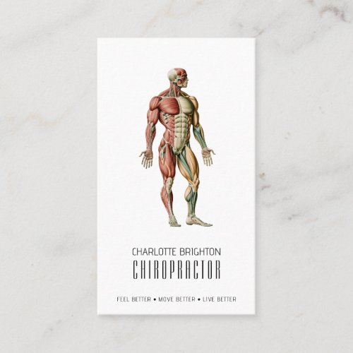 Anatomical Body Chiropractor Appointment  Business Card