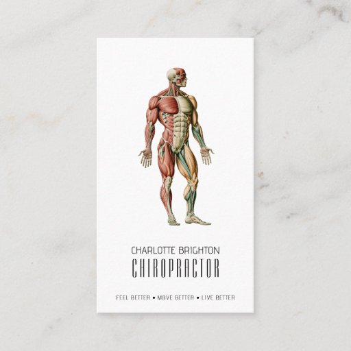 Customizable Anatomical Body Chiropractor Appointment &amp; Business Card