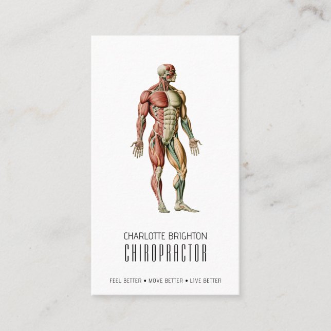 Anatomical Body Chiropractor Appointment & Business Card (Front)